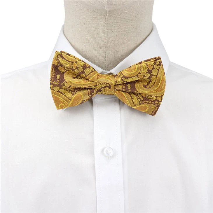 paisley pattern bow tie