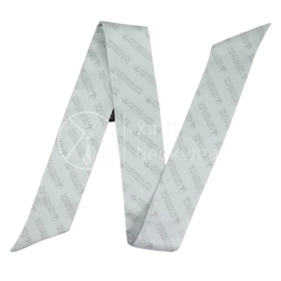 Silk Skinny Bandana
